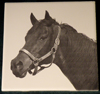Ceramic Trivet - Engraved Photo
