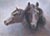 Search the Horse Classifieds to find horses for sale