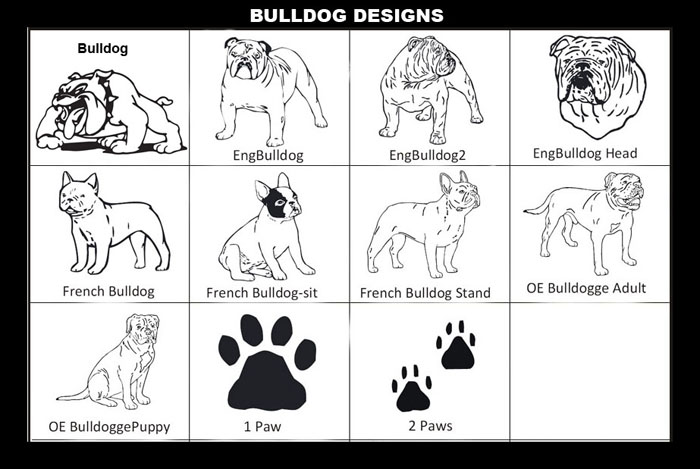 Batavia Bulldog, Batavia Bulldogs, Bulldog, bulldogge, English Bulldog, Old English Bulldog, French Bulldog