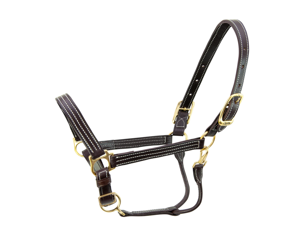 Leather Walsh Halter Kentucky Horse Smarts