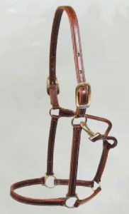 Cob sized leather Walsh halter - Showman 4700 . Free engraved brass nameplate comes with the Showman leather Walsh halter.