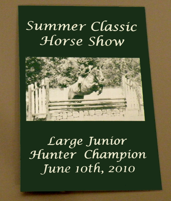  Makes very unique horse show award or barn gift.