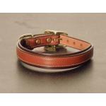 Padded Leather Engraved Dog Collar - Oakbark/Havana