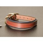 Padded Leather Engraved Dog Collar - Oakbark/Navy