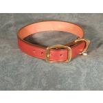 Leather Engraved Dog Collar