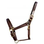 Classic Leather Walsh Horse Halter with Free Engraved Brass Nameplate.