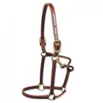 Showman Leather Walsh Horse Halter with Free Engraved Brass Horse Halter Nameplate.