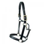 Dressage Leather Walsh Halter - Throat Snap - Black