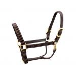 British Leather Walsh Halter - Choice of throat snap or no throat snap. Solid Brass Hardware