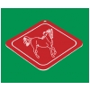 Plastic Diamond Ornament - Horse Design