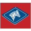 Plastic Diamond Ornament - Horse Design 2