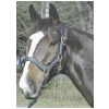 Chafeless Breakaway Halter - Red