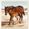 The Kidnapped Mare Custom Size Canvas