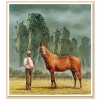 The Final Thunder Custom Size Canvas