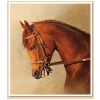 Precisionist Custom Size Canvas