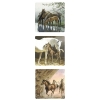 Love of Horses Magnet Set - Equestrian Gifts