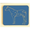 Appaloosa Horse Magnet - Plastic