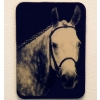 Custom Engraved Photo Magnet - Plastic