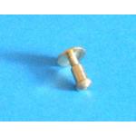 Small Cap Chicago Screw Set - Medium