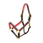 Padded Leather Tory Halter - 3/4"