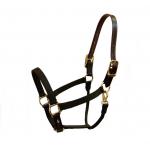 Nylon Breakaway Walsh Horse Halter - 1" Wide