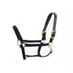 Nylon Breakaway Walsh Horse Halter - 3/4" Wide