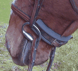 Cashel Caveson / Noseband Channel