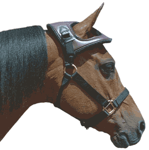 Cashel Horse Helmet - Head Bumper
