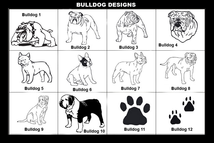 Batavia Bulldog, Batavia Bulldogs, Bulldog, bulldogge, English Bulldog, Old English Bulldog, French Bulldog