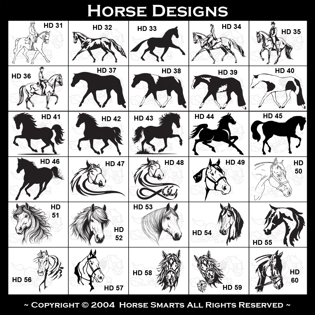 Friesian, Foal, Funny Jockey, Galloping Horse, Horse Back Riding