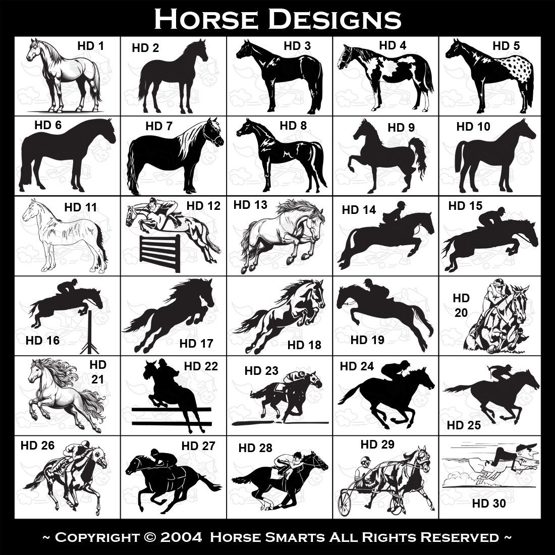 Connemara, Friesian, Thoroughbred, Dressage Horse, Horse Head, Baby Horse