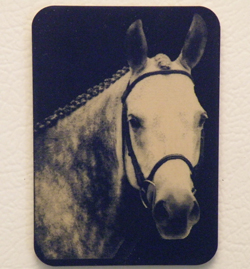 Engraved Photo Magnet 