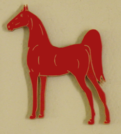 Saddlebred Horse Magnet 