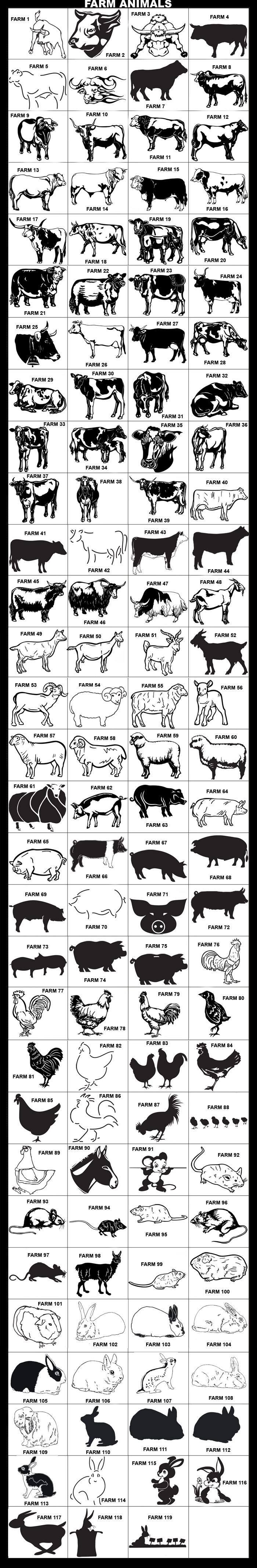 Farm Animal, Bull, Lop-Holland, Aficaner Bull, Brahman, 4-H, Brammer, Longhorn