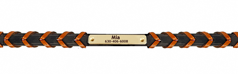 Black and tan laced Edgewood Leather dog collar with engraved nameplate.