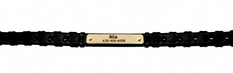 Laced Edgewood Nameplate Collar - Black