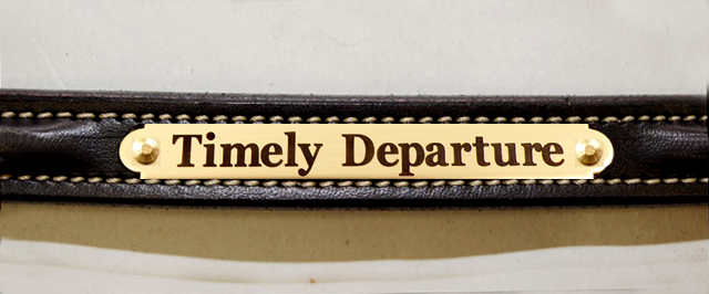 Edgewood black leather plain raised dog collar with FREE engraved brass nameplate.