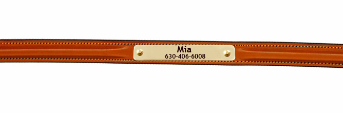 Raised Edgewood Leather Engraved Nameplate Dog Collar - Tan | Edgewood Dog Collar