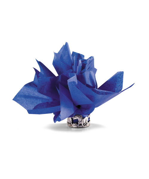 Lucky You! Horseshoe Gift Bag Blue Tissue Paper