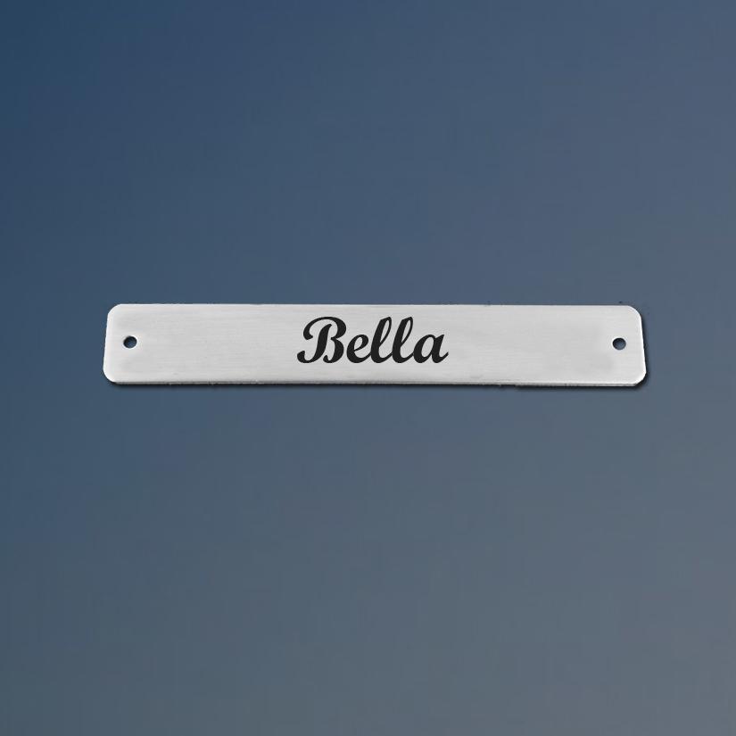 Dog leash engraved nameplate with your choice of ornamental or round end.