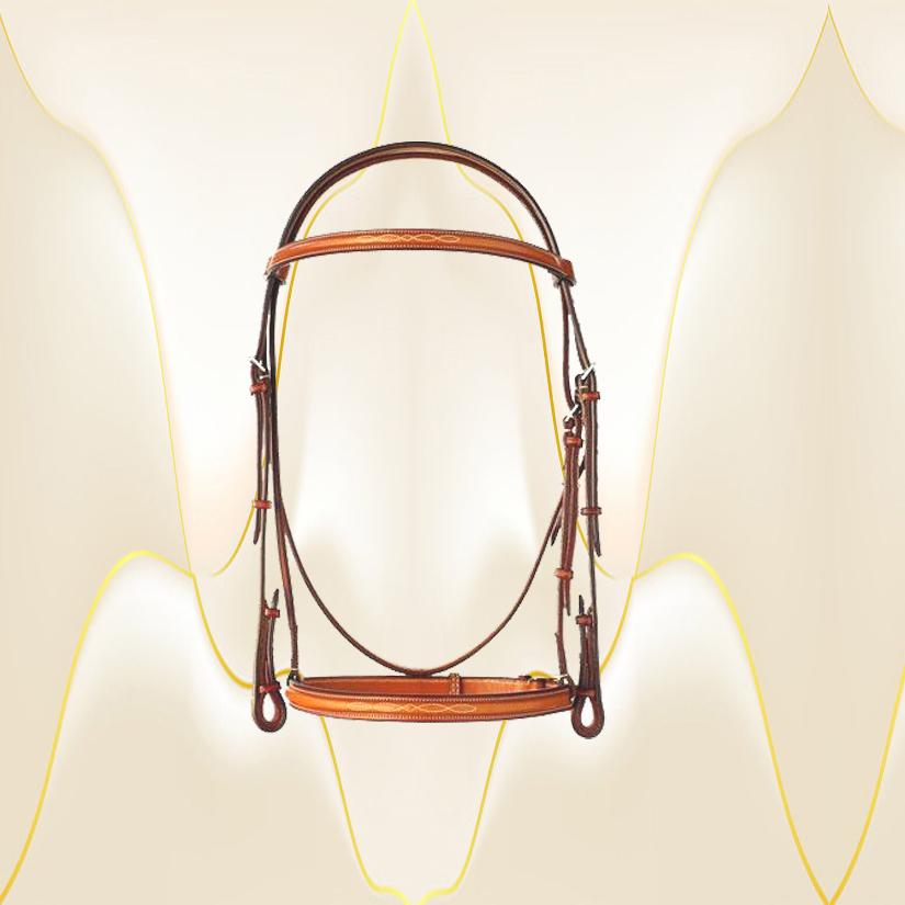 5/8" fancy stitched raised Edgewood leather horse bridle. Comes in pony, cob and horse size.