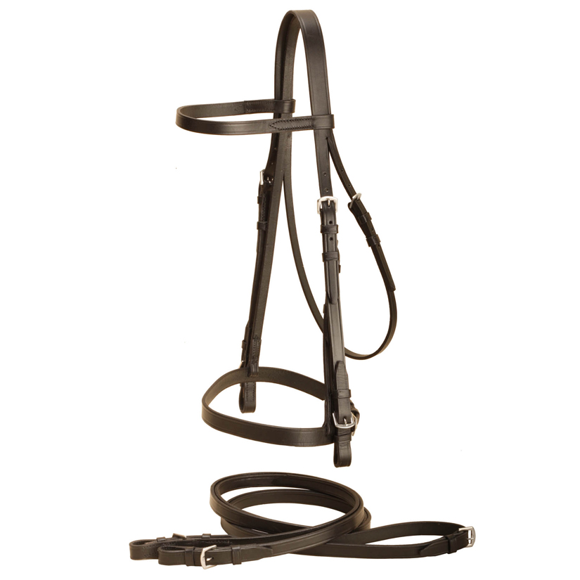 Flat leather English bridle with matching leather reins from Tory Leather. MADE in the USA