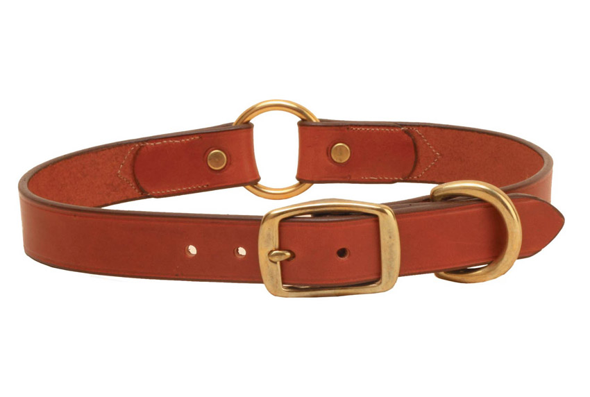 Hunting dog safety collar from Tory leather comes with solid brass hardware.