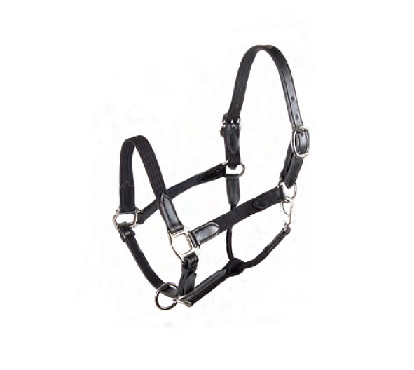 Tory's leather and cotton web horse halter comes with black leather and black webbing.