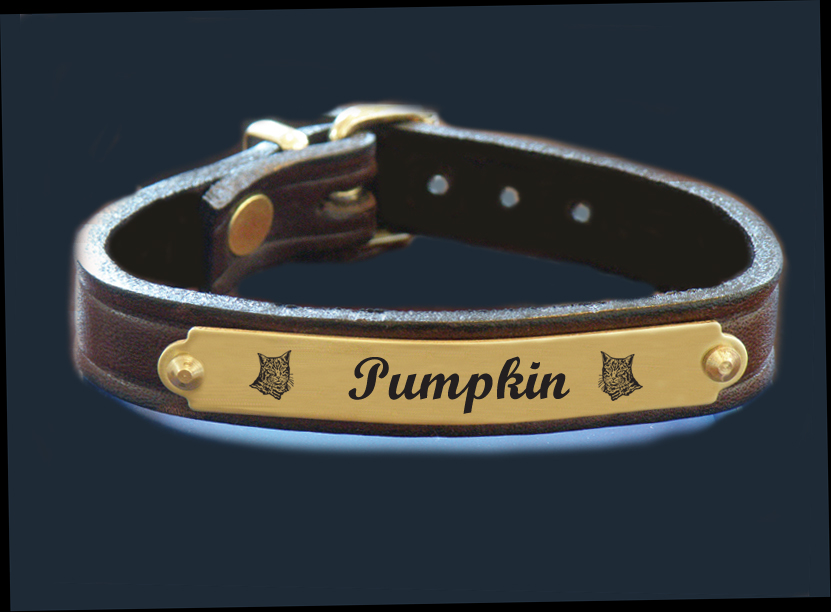 Personalized cat design engraved brass nameplate leather bracelet. Cat Bracelet { Cat Jewelry
