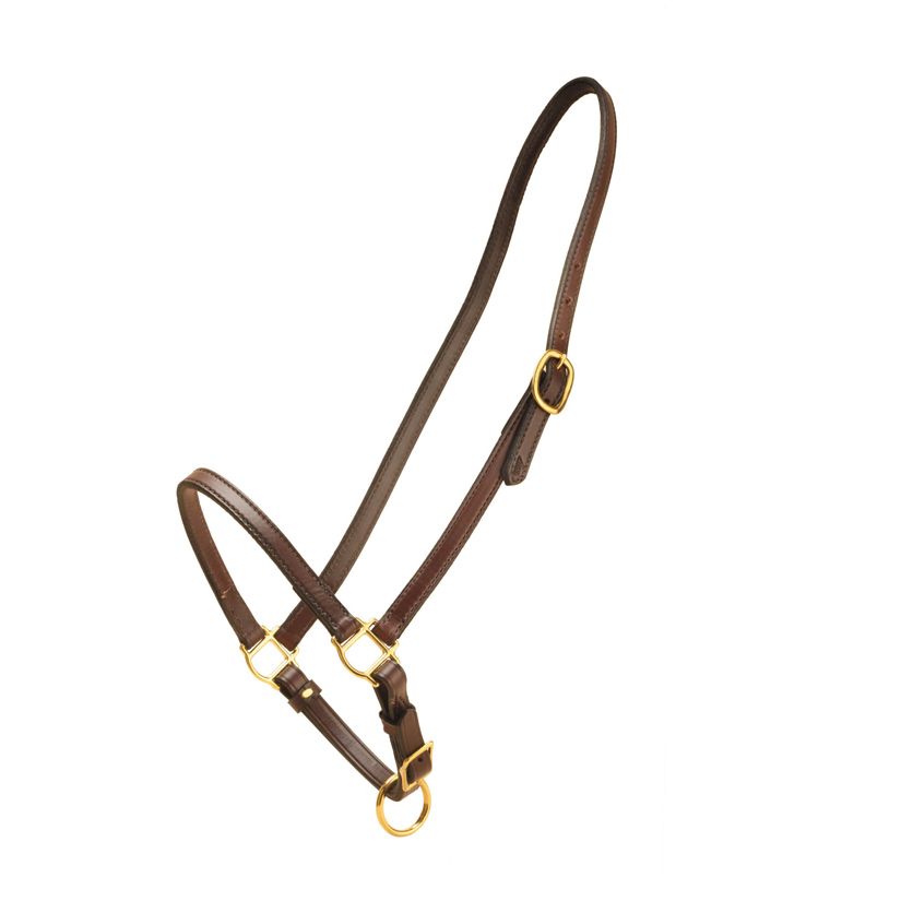 Tory Leather's horse size 3/4" grooming halter comes in Oakbark or Havana.