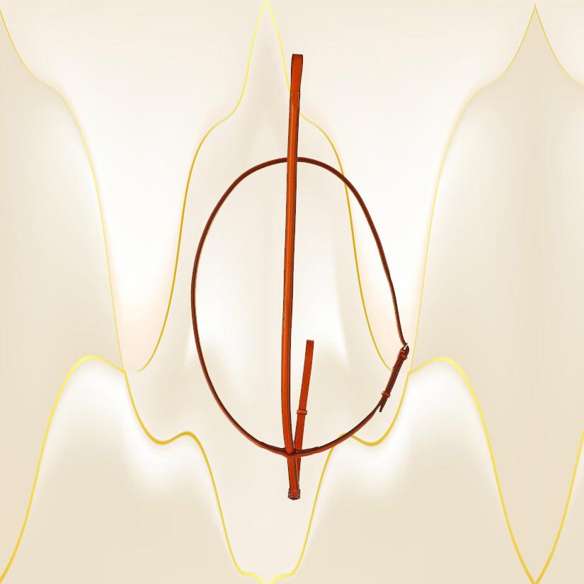 Plain raised standing martingale from Edgewood leather.