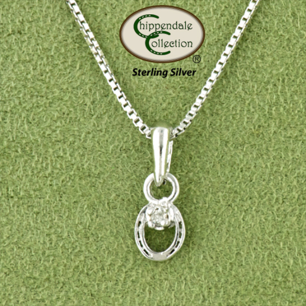 Petite Horseshoe CZ Necklace - Equestrian Jewelry