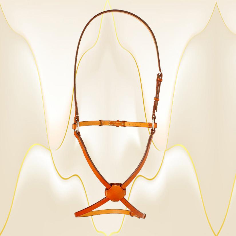 Edgewood Leather plain flat figure 8 noseband / caveson. Noseband comes in Pony, Cob, Horse and Oversize.