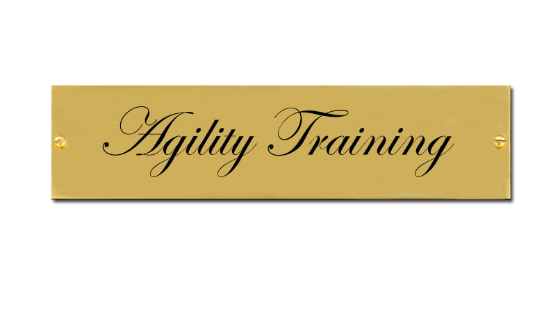 Custom engraved plastic dog crate / kennel tag with up to 4 lines of personalized text.